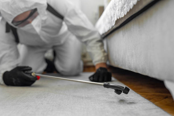 Professional Pest Control technician working in Mississippi, MS