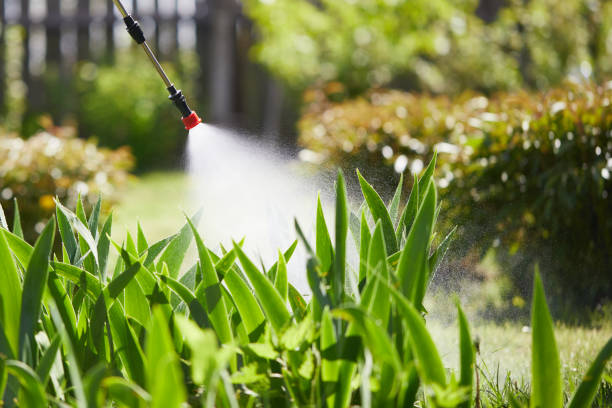 24/7 Emergency Pest Control experts in Mississippi, MS