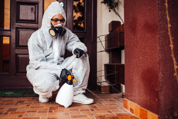 Reliable Pest Control contractor in Mississippi, MS by Show Me Pest Control